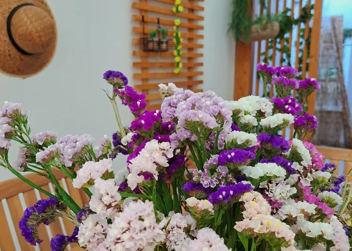 Cantinho Figueiras Nazaré